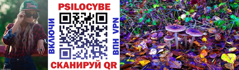 blacksprut зеркало  закладка  Тайга  Псилоцибиновые грибы мицелий 